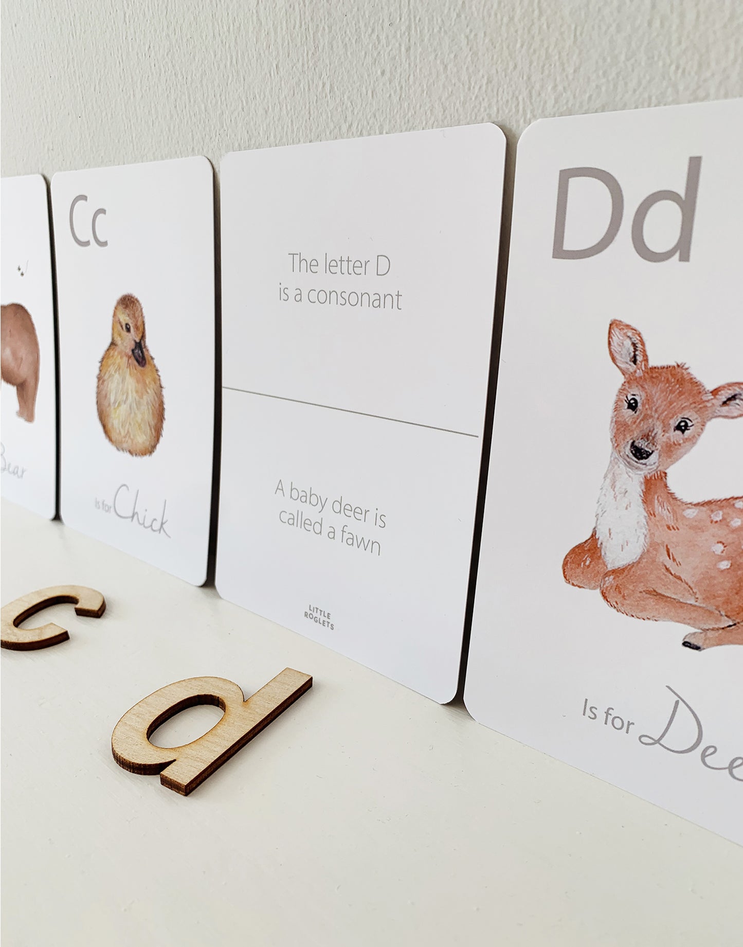 Little Roglets - Alphabet Flashcards