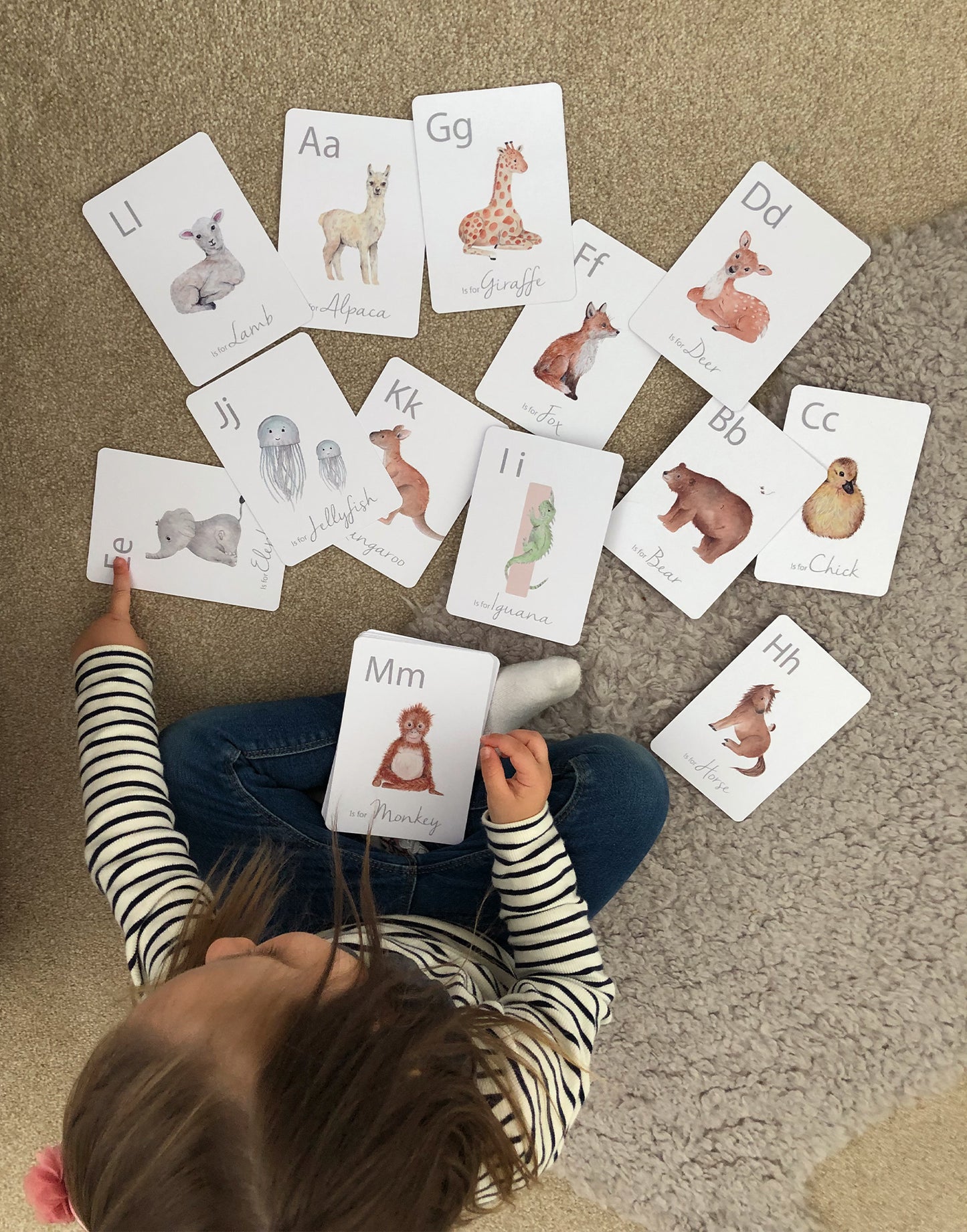 Little Roglets - Alphabet Flashcards