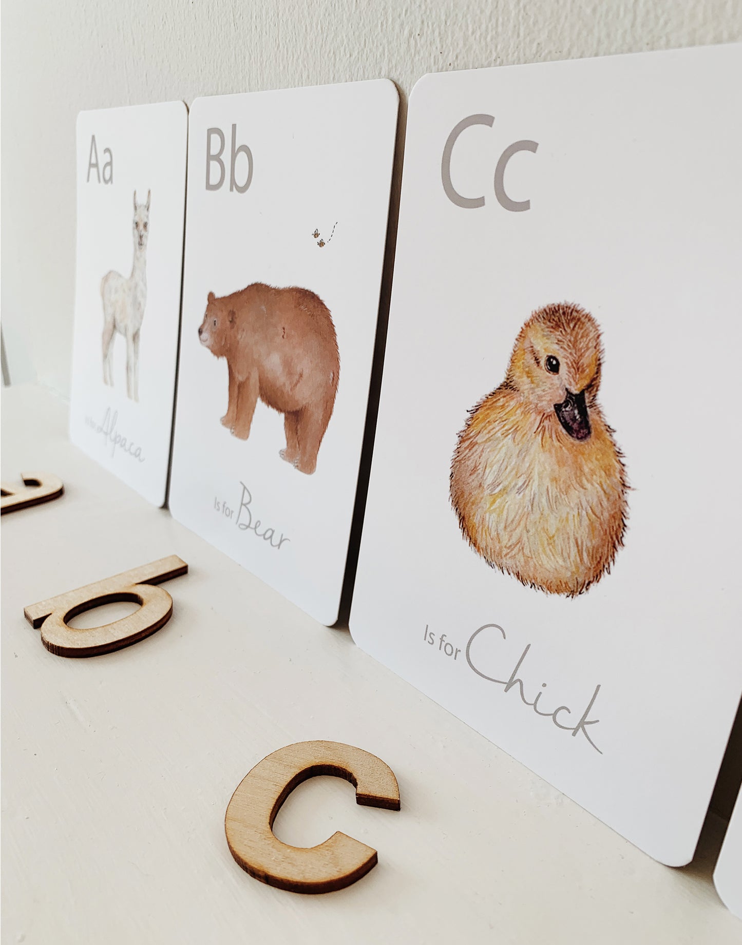 Little Roglets - Alphabet Flashcards